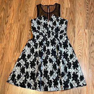 Nordstrom Fit and Flare Formal Dress Black and White, Short BCBGeneration
